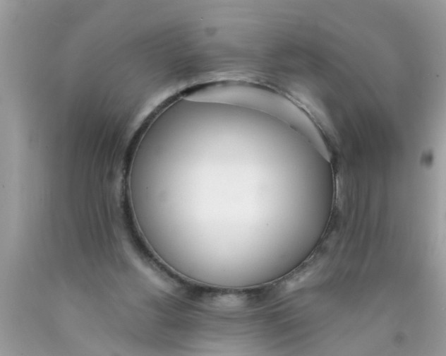 X0000089870156200707262157