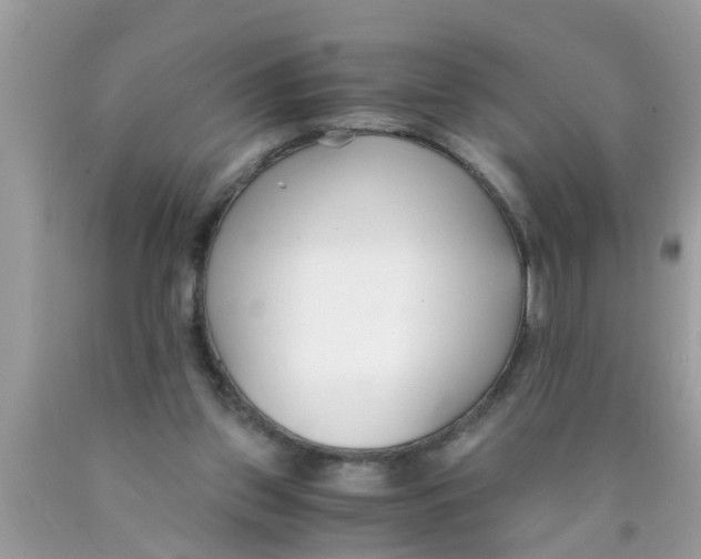 X0000089870157200707262157