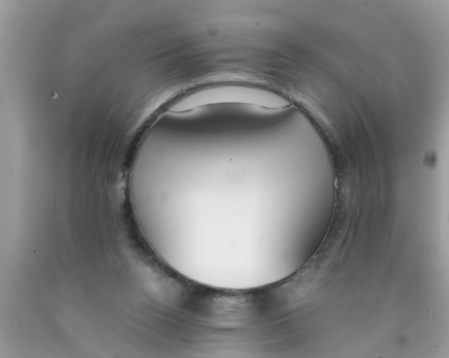 X0000089870160200707262157