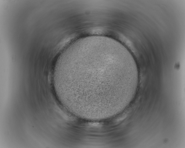 X0000089870161200707262157