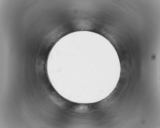 X0000089870162200707262157