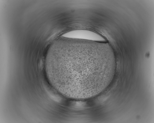 X0000089870165200707262157