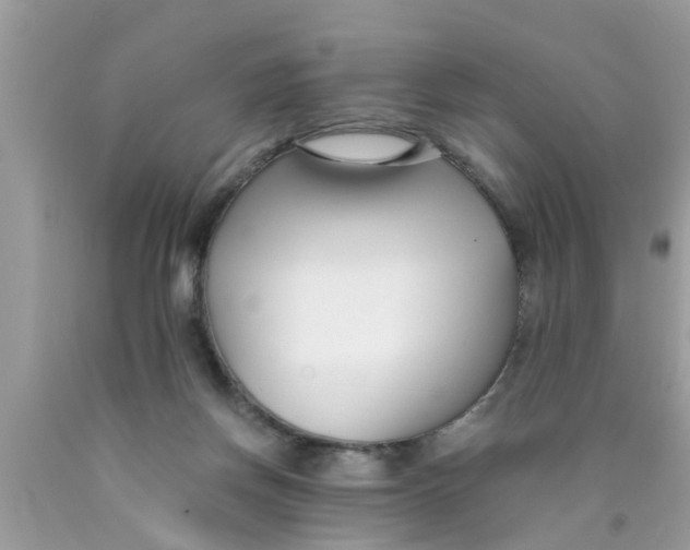 X0000089870166200707262157