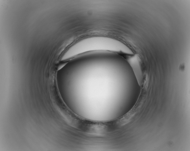 X0000089870168200707262157