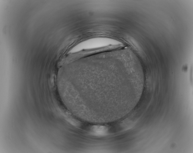 X0000089870169200707262157