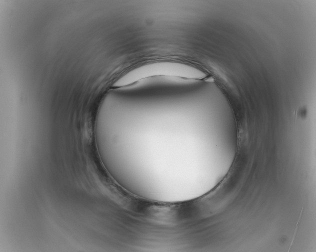 X0000089870170200707262157