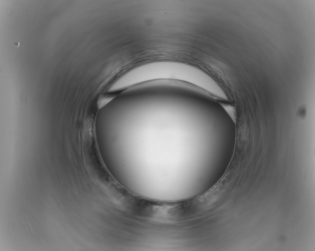 X0000089870172200707262157