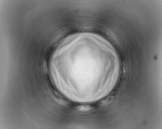 X0000089870173200707262157
