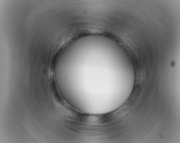 X0000089870176200707262157