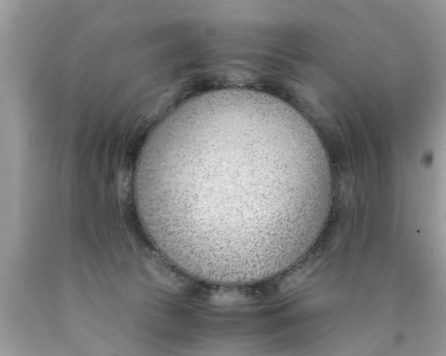 X0000089870177200707262157