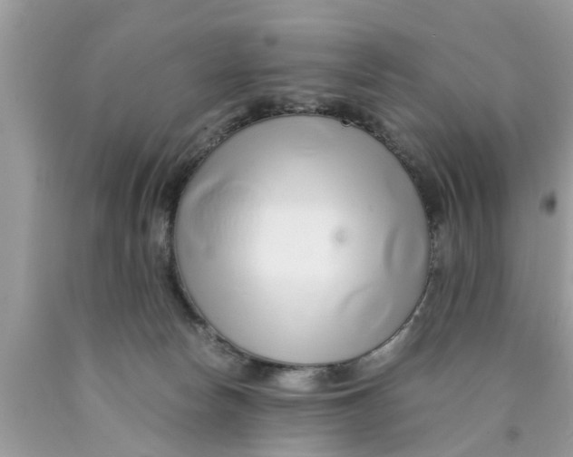 X0000089870178200707262157