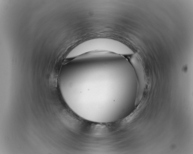 X0000089870180200707262157