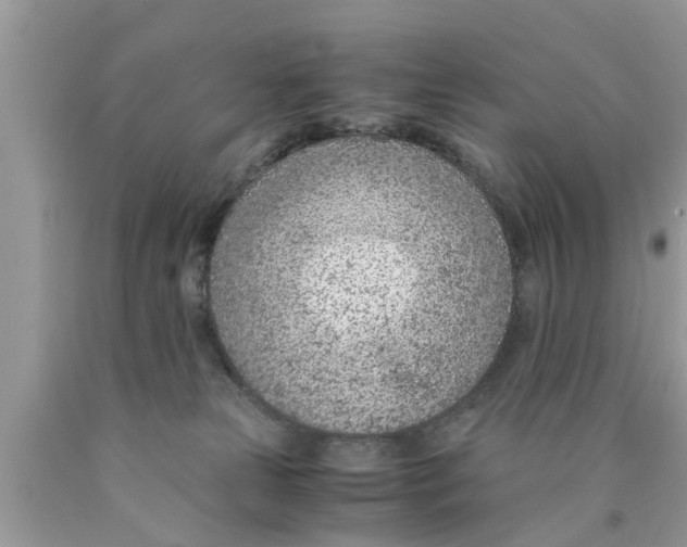 X0000089870181200707262157