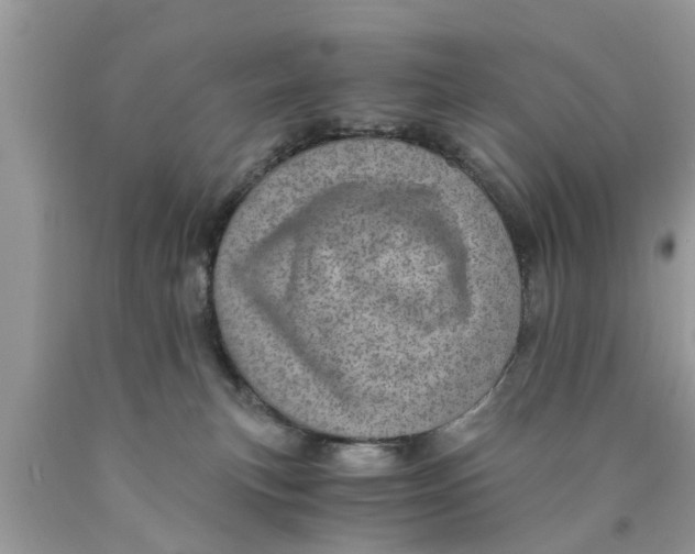 X0000089870183200707262157