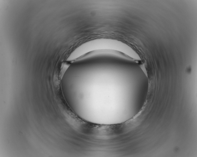 X0000089870186200707262157