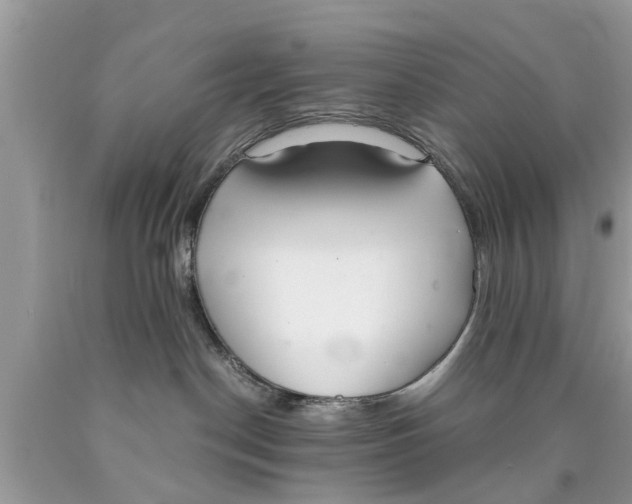 X0000089870190200707262157