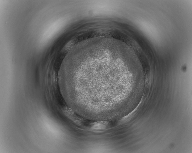 X0000089870191200707262157