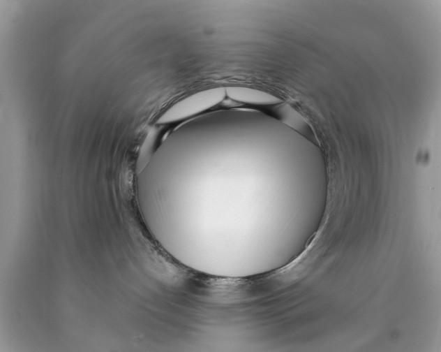 X0000089870192200707262157