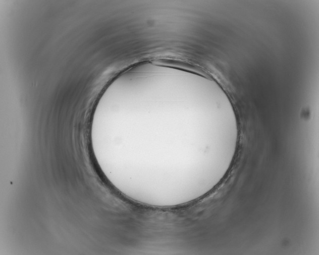 X0000089870193200707262156