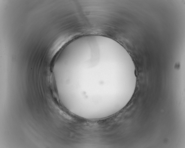 X0000089870194200707262156