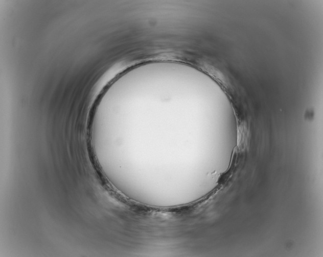 X0000089870195200707262156