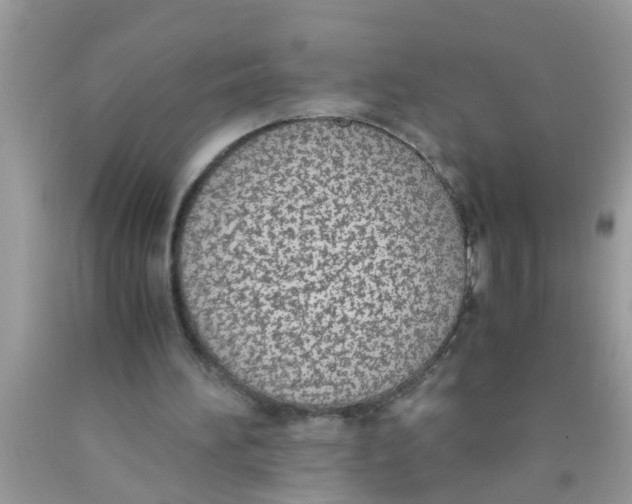 X0000089870196200707262156