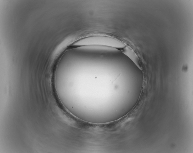 X0000089870197200707262156