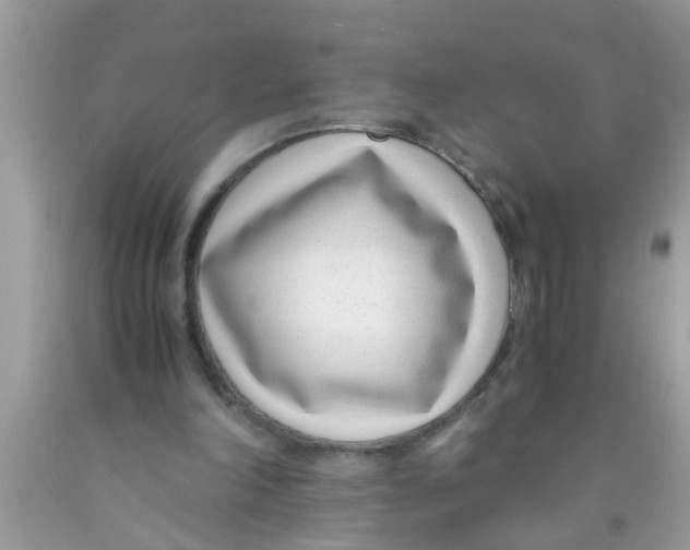 X0000089870198200707262156