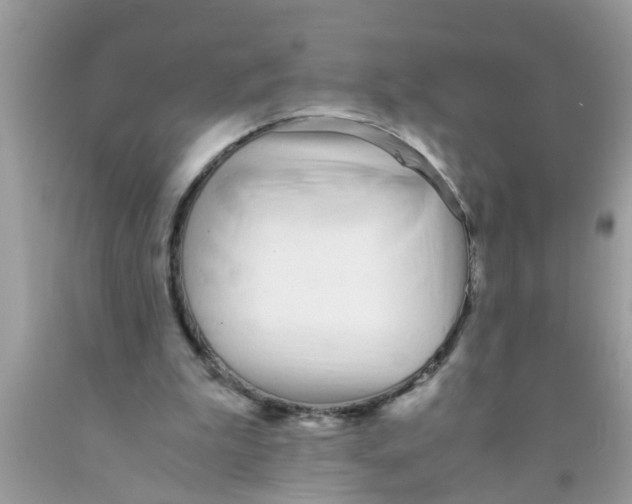 X0000089870199200707262156