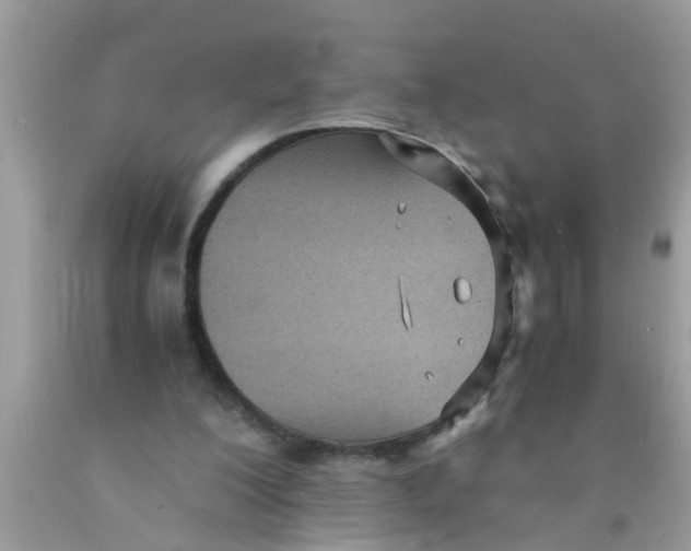 X0000089870200200707262156