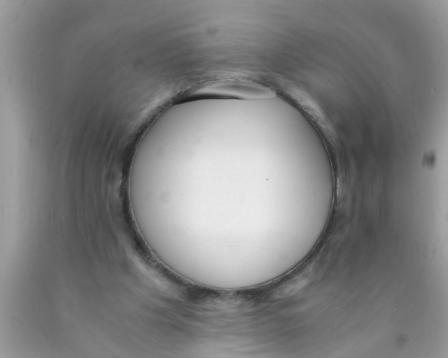 X0000089870201200707262156