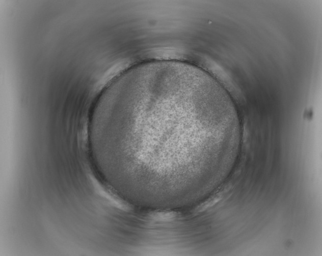 X0000089870202200707262156