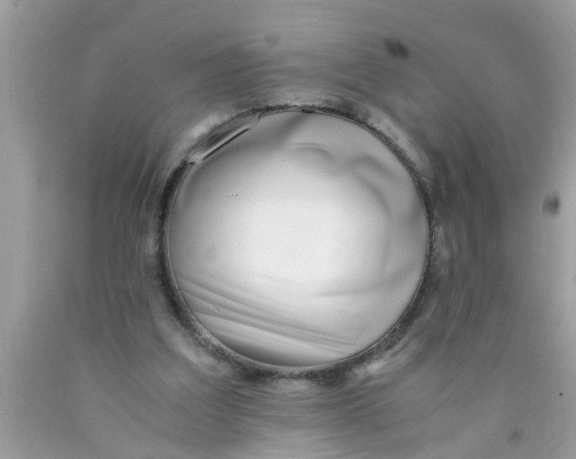 X0000089870203200707262156