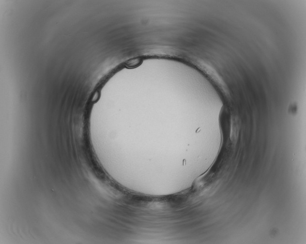 X0000089870204200707262156