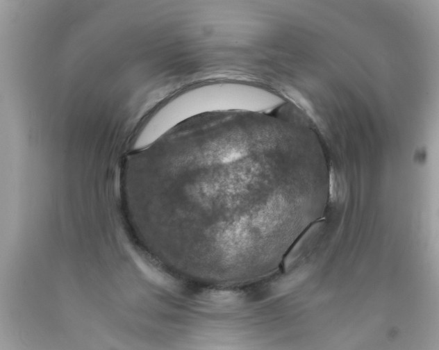 X0000089870205200707262156
