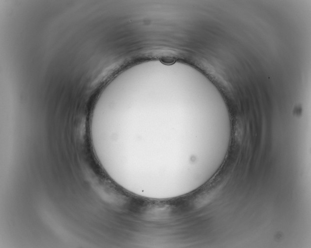 X0000089870206200707262156