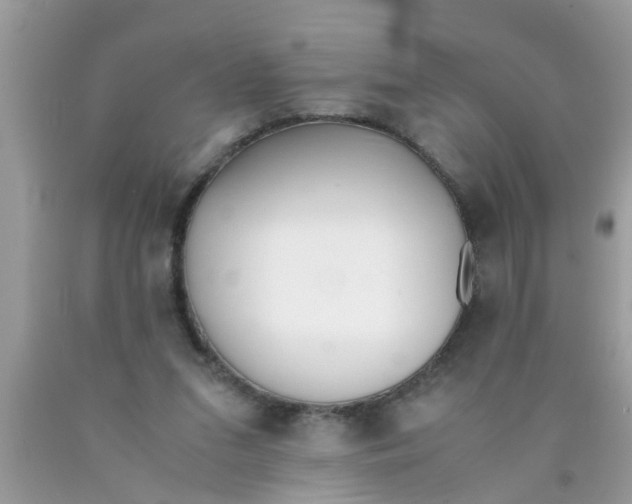 X0000089870207200707262156