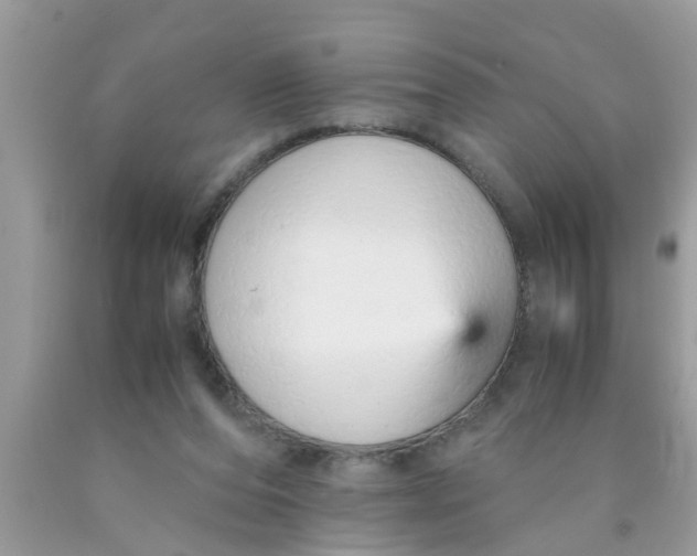 X0000089870208200707262156