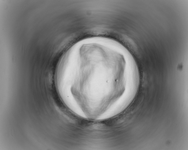 X0000089870210200707262156