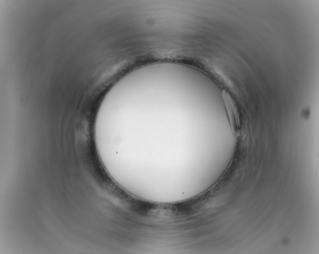 X0000089870211200707262156