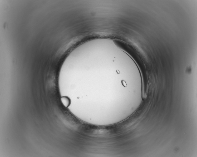 X0000089870212200707262156