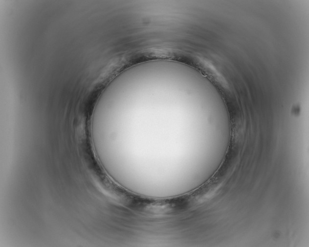 X0000089870213200707262156