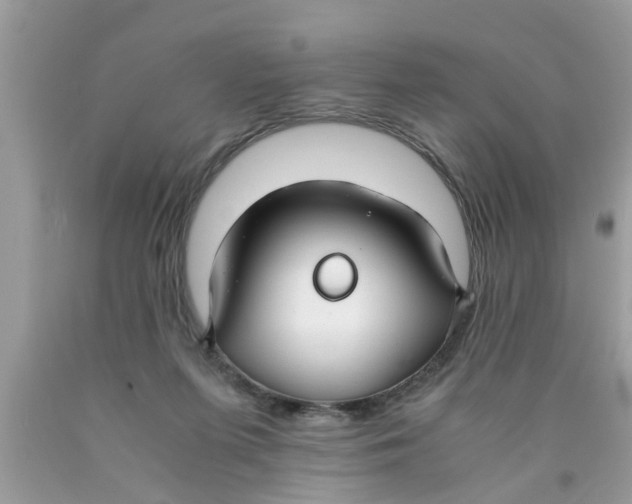 X0000089870215200707262156