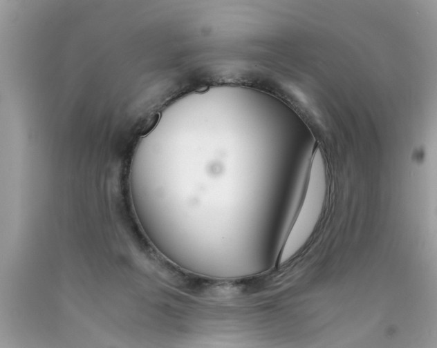 X0000089870217200707262156