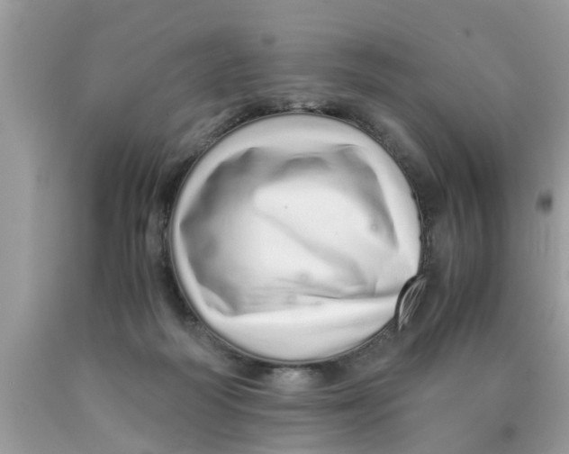 X0000089870218200707262156