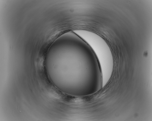 X0000089870219200707262156