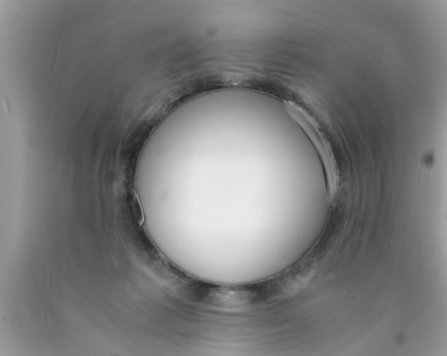 X0000089870221200707262156