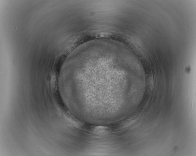 X0000089870222200707262156