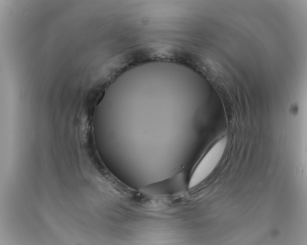 X0000089870223200707262156