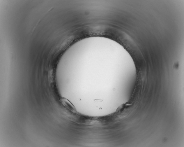 X0000089870224200707262156